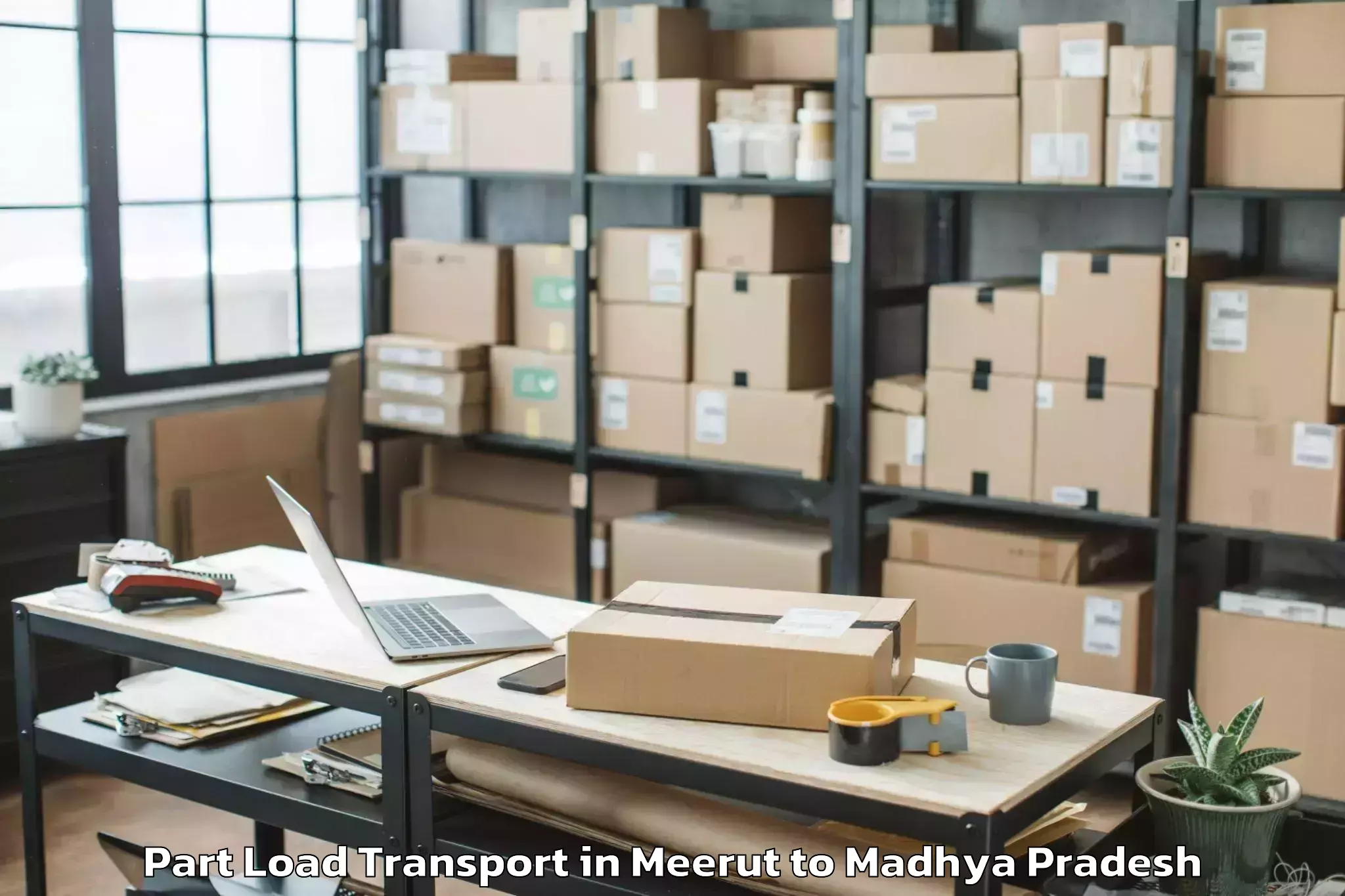 Reliable Meerut to Gwalior Part Load Transport